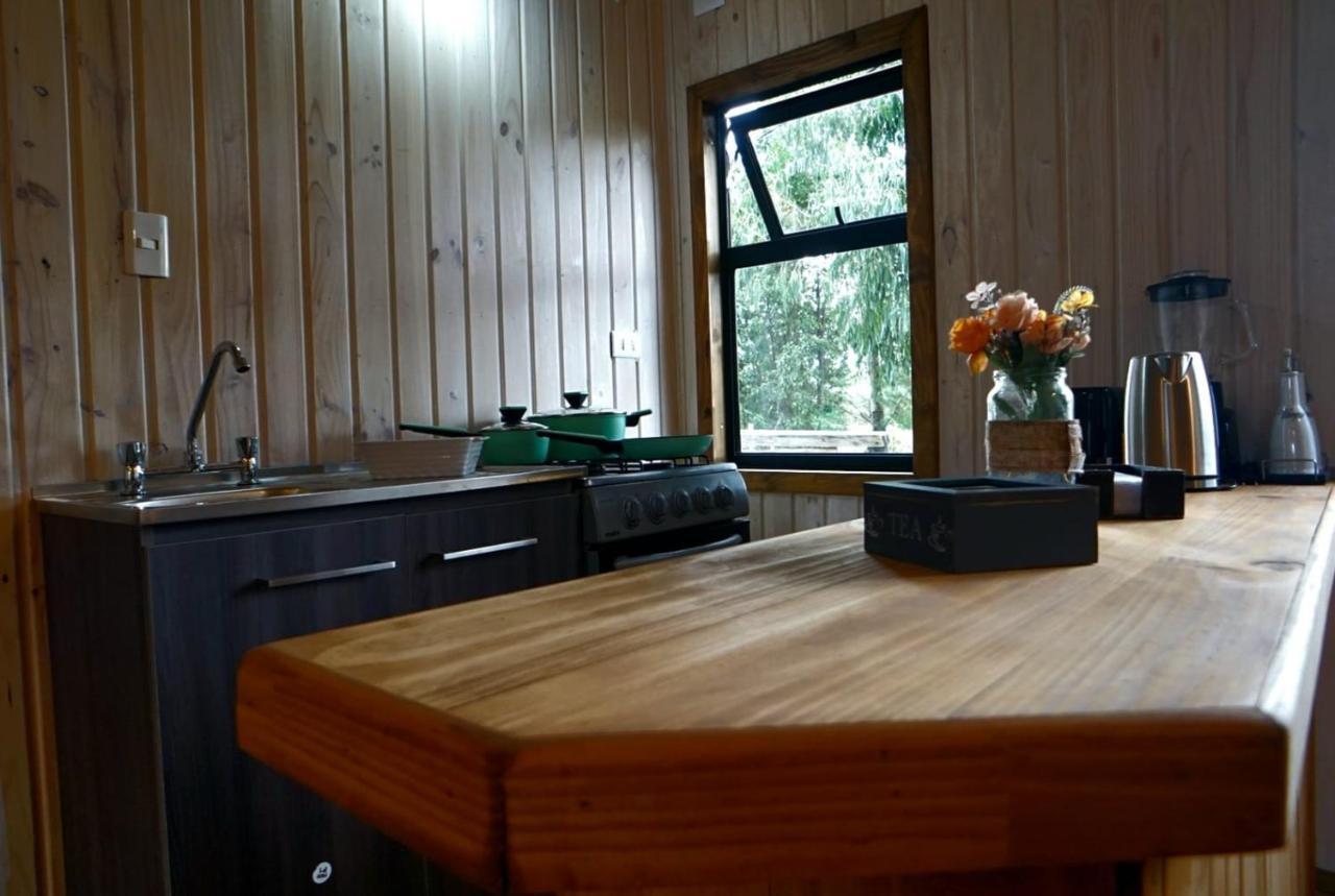 Apartament Cabana Los Coihues Puerto Montt Zewnętrze zdjęcie